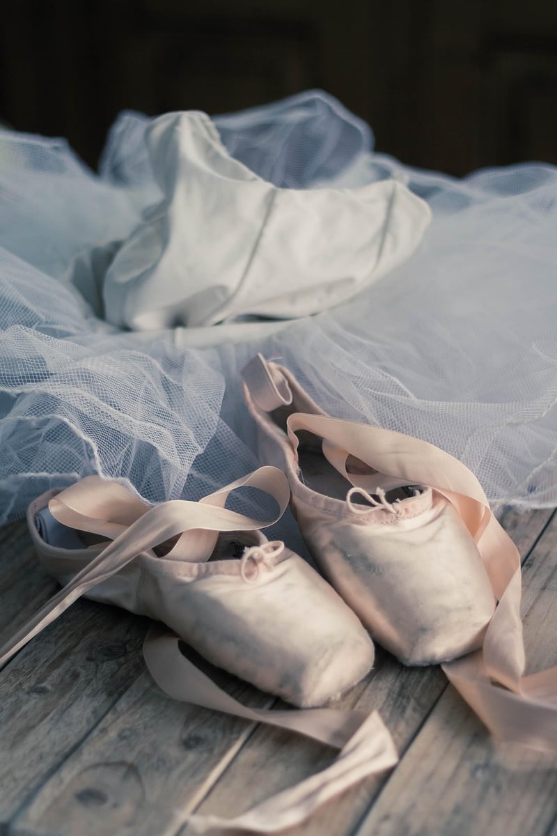 Ballet Workout Image